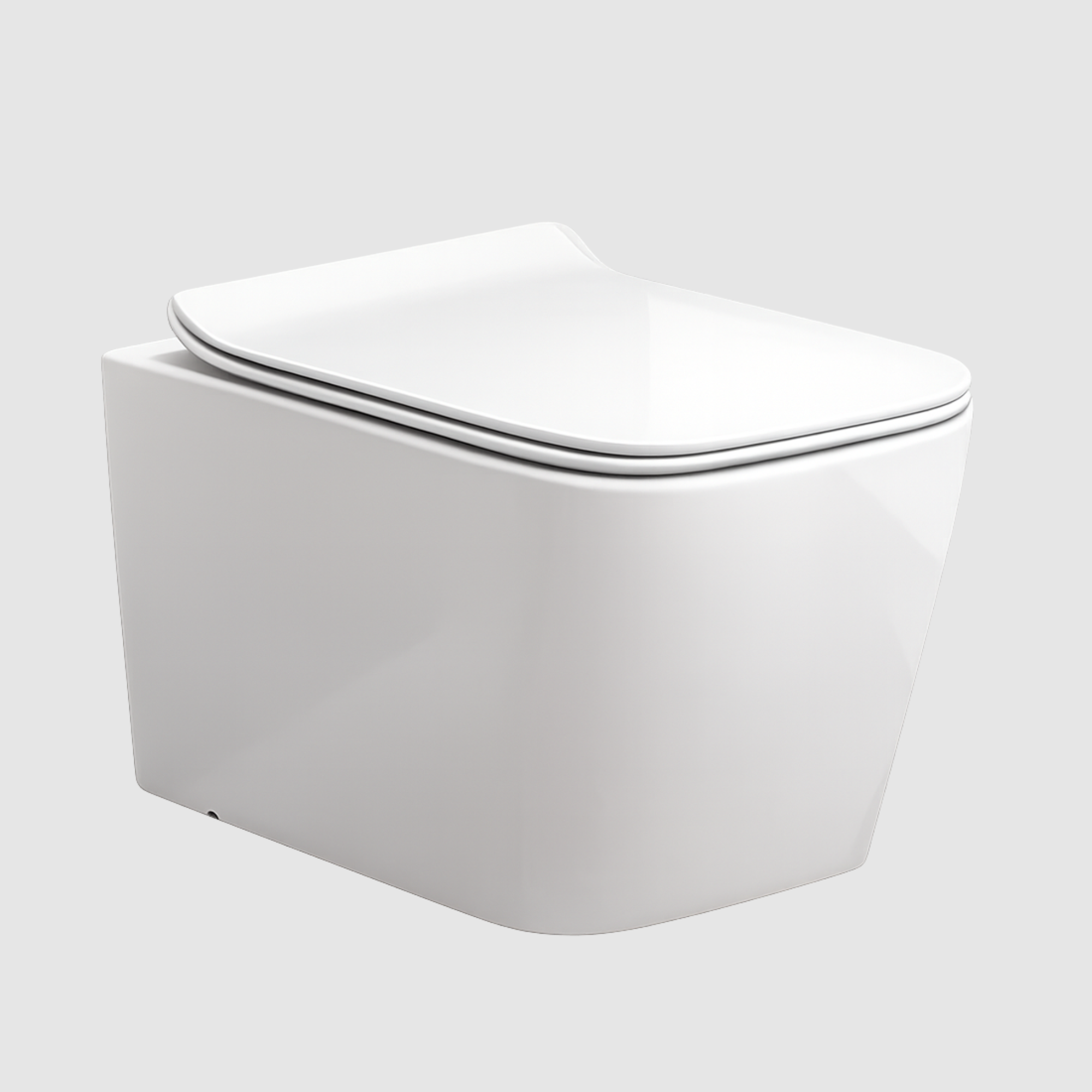 PL-7773 Wall Hung Ewc Keoch